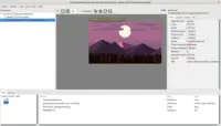 Setting up TCastleImageControl in editor